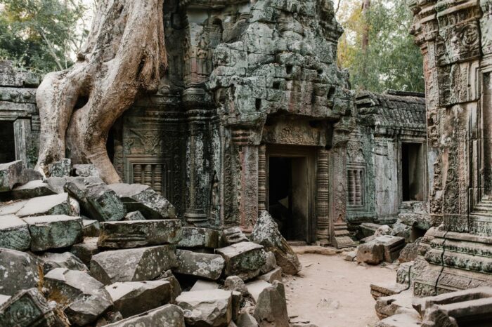 Cambogia